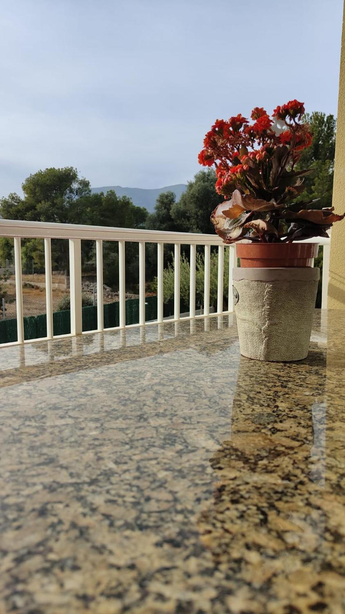 Apartamentos Montsia Mar Sant Carlos de la Ràpita Buitenkant foto